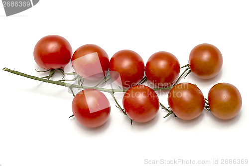 Image of Eco Tomatoes