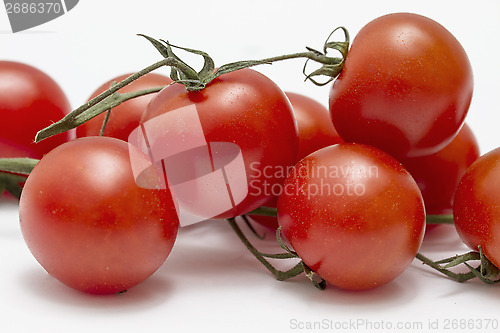 Image of Eco Tomatoes