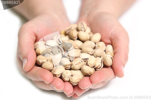 Image of pistachios