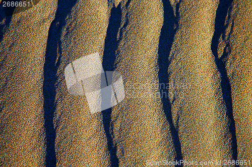 Image of spain texture abstract of a  dry sand 