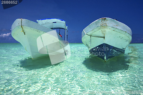 Image of  tent in the  blue lagoon relax   boat   sian kaan in mexico