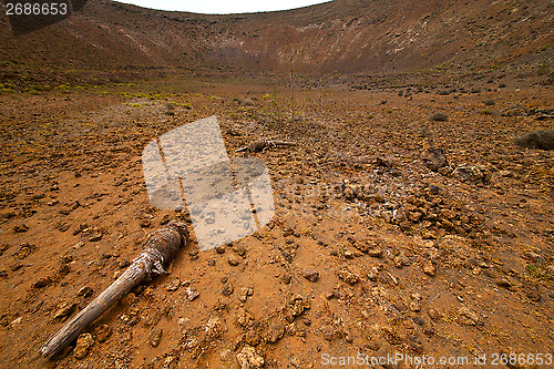 Image of wood plant  bush  volcanic rock stone sky  hill and summer  