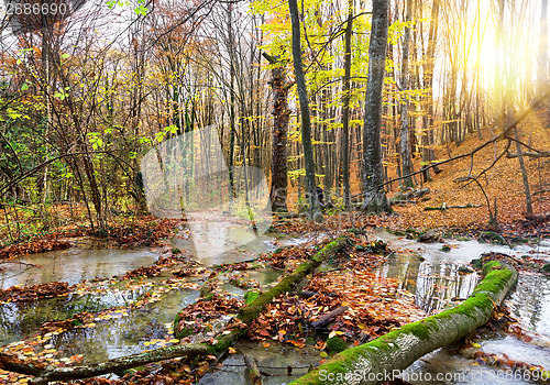 Image of Cascade river in a forest