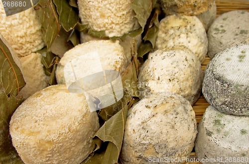 Image of Goat cheeses