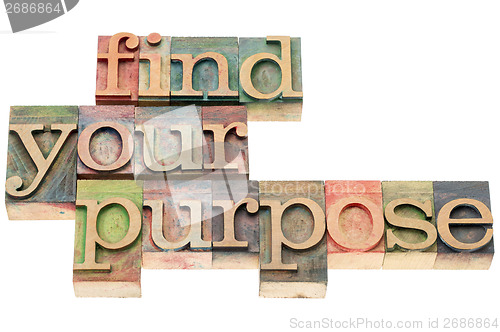 Image of find your purpose in wood type