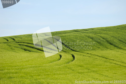 Image of Green field