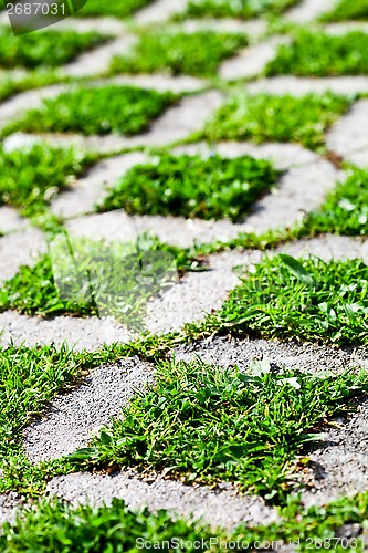 Image of stone block walk path with green grass