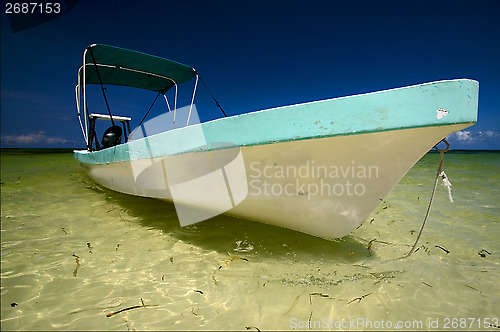 Image of palm  the  lagoon relax and boat   of sian kaan in mexico