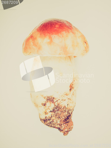 Image of Retro look Porcini Mushroom