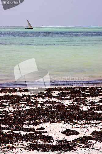 Image of  boat pirague in the  blue lagoon relax    zanzibar africa