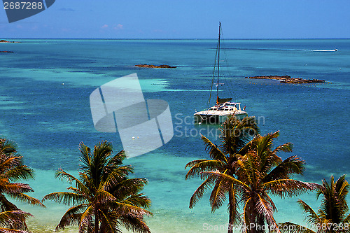 Image of costline boat catamaran in the  blue lagoon relax    contoy  mex