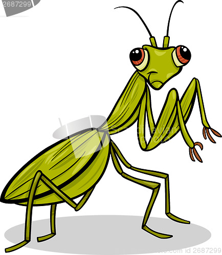 Image of mantis insect cartoon illustration