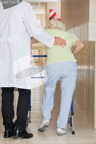 Image of Doctor Assisting Senior Woman To Use Walker