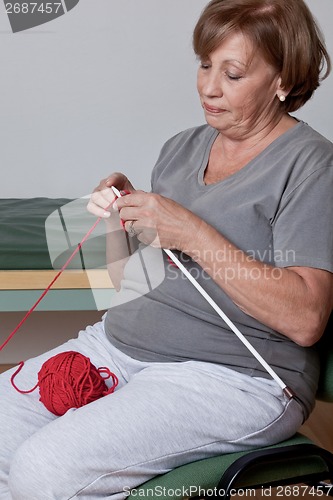 Image of Senior Woman Knitting