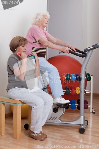 Image of Females Doing Physical Exercise