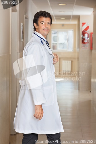 Image of Portrait Of a Doctor