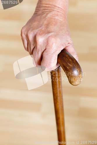 Image of Hand Holding Wooden Walking Stick