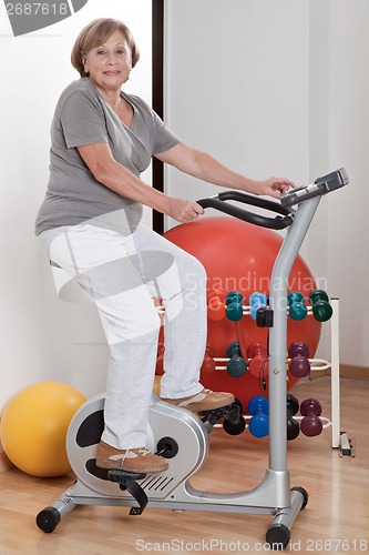 Image of Female Doing Physical Exercise