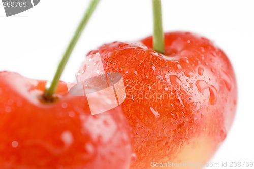 Image of Sweet Cherry