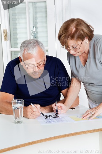 Image of Senior Couple Playing Leisure Games