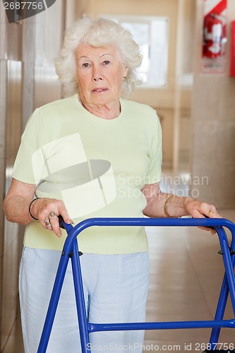Image of Senior Woman Using Zimmer Frame