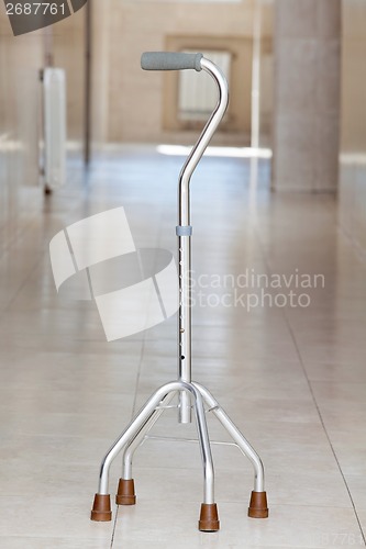 Image of Walking Stick