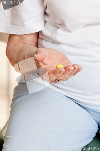 Image of Senior Woman Holding Tablet