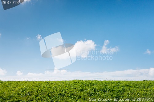 Image of Green field and blue sky