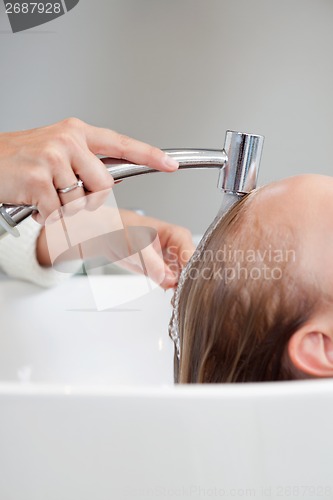 Image of Woman Getting Hair Washed At Salon