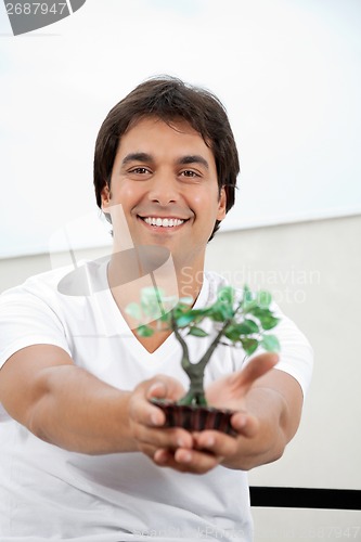 Image of Man Holding An Artificial Plant