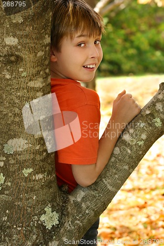 Image of Boy leaning against a tree