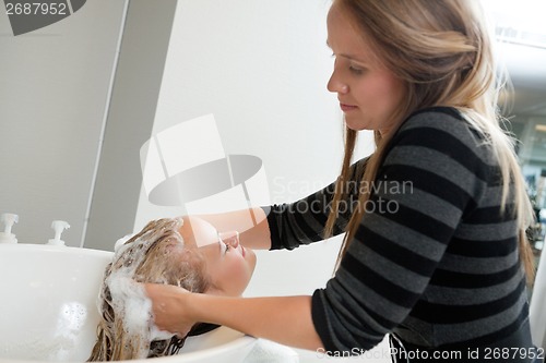 Image of Woman Having Hair Washed At Beauty Spa