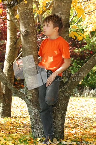 Image of Child among colourful autumn trees and leaves