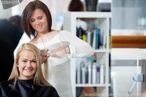 Image of Woman Getting Haircut At Parlor