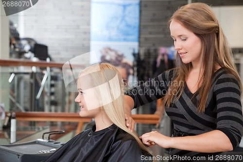 Image of Hairdresser Brushing Customers Hair