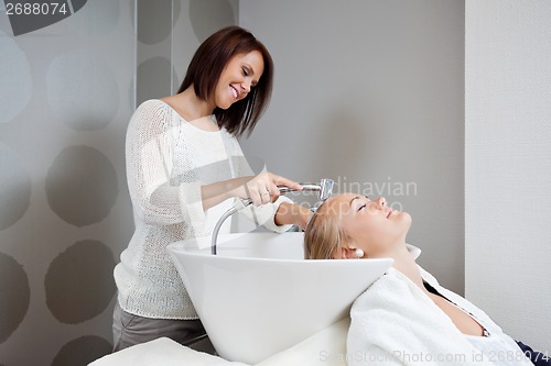 Image of Beautician Washing Hair Of Customer