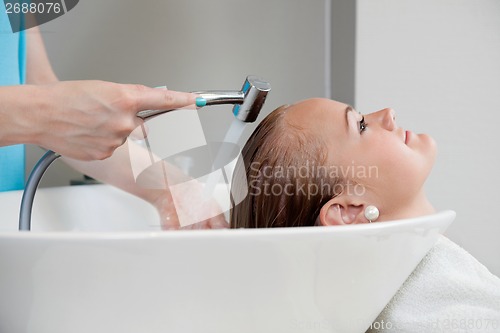 Image of Hair Wash At Beauty Salon