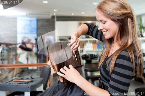 Image of Hairdresser Cutting Client's Hair