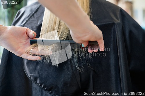 Image of Hairstylist Combing Hair Of Customer