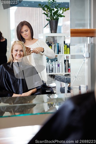Image of Hairdresser Giving Haircut To Woman