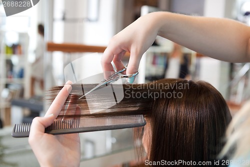 Image of Hairdresser Cutting Client's Hair