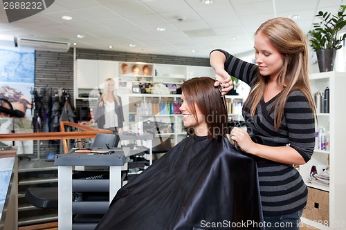 Image of Hairdresser Thinning Customer's Hair
