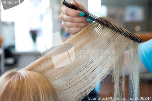 Image of Hairdresser Combing Female Customer's Hair