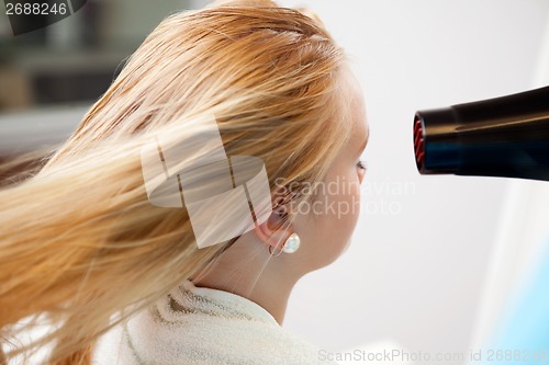 Image of Woman's Hair Being Blow Dried