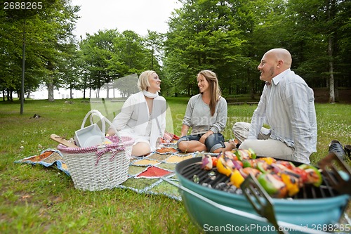 Image of Friencds Barbecue Picnic