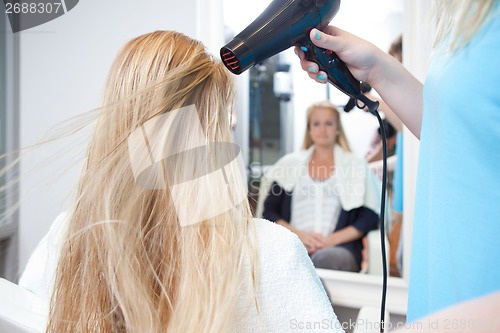 Image of Stylist Drying Womans Hair in Beauty Salon