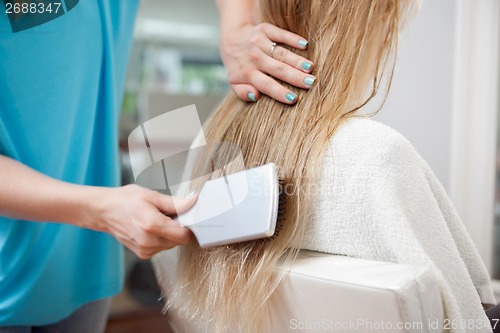 Image of Beautician Combing Hair Of Customer