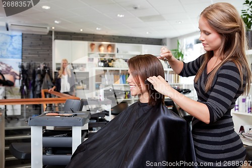Image of Hairdresser Cutting Client's Hair
