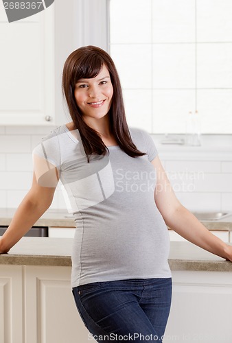 Image of Portrait of a Beautiful Pregnant Woman