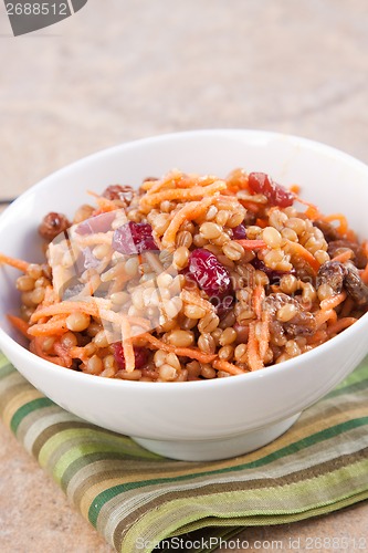 Image of Vegan Salad - Wheat Berry Salad with Cranberries and Nuts